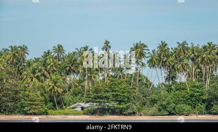 Croisière le long de la rive aérienne de Sibu Laut-Telaga, Matang, Sarawak, Malaisie