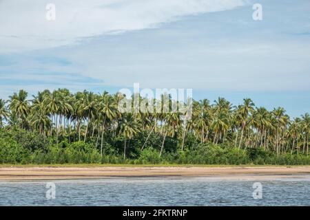 Croisière le long de la rive aérienne de Sibu Laut-Telaga, Matang, Sarawak, Malaisie