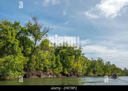 Croisière le long de la rive aérienne de Sibu Laut-Telaga, Matang, Sarawak, Malaisie
