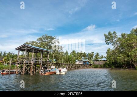 Croisière le long de la rive aérienne de Sibu Laut-Telaga, Matang, Sarawak, Malaisie