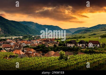 Coucher de soleil sur le vignoble et la ville de Spitz dans la région de Wachau, Autriche. Banque D'Images