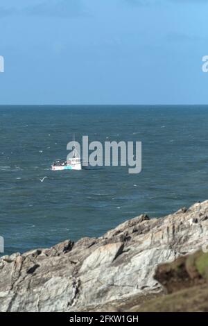 Le bateau de pêche trois Jays SS333 se ramenant au port en passant par Towan Head sur la côte de Newquay en Cornouailles. Banque D'Images