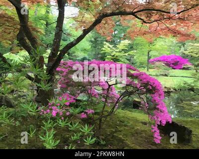 Un jardin japonais à la Haye. Érable japonais combiné à un azalée rose. Mousse sur le sol. Un étang en arrière-plan. Cette photo est convertie Banque D'Images
