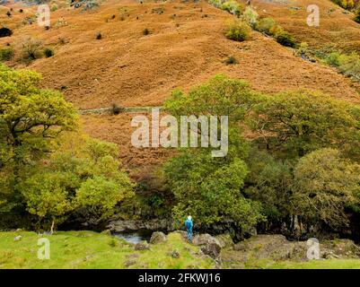 Vue aérienne de Stonethwaite Beck, une petite rivière formée au confluent de Langstrath Beck et Greenup Gill sous Eagle Crag. Explorer la belle n Banque D'Images