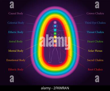 Les corps de l'aura. Les sept couches d'un homme méditant avec des chakras apparentés dans les mêmes couleurs. Éthérique, émotionnel, mental, astral, céleste, couche causale. Banque D'Images