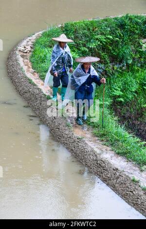 Qiandongnan, province chinoise du Guizhou. 4 mai 2021. Les agriculteurs marchent dans les champs en terrasse du village de Jiaye dans le comté de Congjiang, dans la province de Guizhou, au sud-ouest de la Chine, le 4 mai 2021. Credit: Yang Wenbin/Xinhua/Alamy Live News Banque D'Images