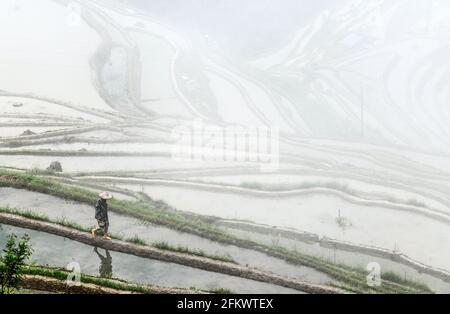 Qiandongnan, province chinoise du Guizhou. 4 mai 2021. Un agriculteur marche dans les champs en terrasse du village de Dangniu dans le comté de Congjiang, dans la province de Guizhou, au sud-ouest de la Chine, le 4 mai 2021. Credit: Yang Wenbin/Xinhua/Alamy Live News Banque D'Images