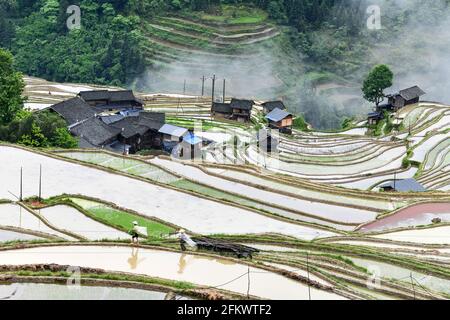 Qiandongnan, province chinoise du Guizhou. 4 mai 2021. Les agriculteurs marchent dans les champs en terrasse du village de Dangniu, dans le comté de Congjiang, dans la province de Guizhou, au sud-ouest de la Chine, le 4 mai 2021. Credit: Yang Wenbin/Xinhua/Alamy Live News Banque D'Images