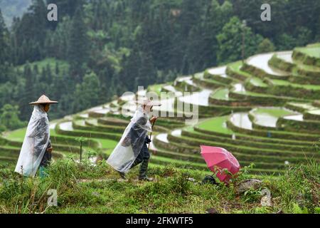 Qiandongnan, province chinoise du Guizhou. 4 mai 2021. Les agriculteurs marchent dans les champs en terrasse du village de Jiaye dans le comté de Congjiang, dans la province de Guizhou, au sud-ouest de la Chine, le 4 mai 2021. Credit: Yang Wenbin/Xinhua/Alamy Live News Banque D'Images