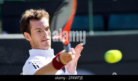 WIMBLEDON 2010. 2E JOUR 22/6/2010 ANDY MURRAY PENDANT SON MATCH AVEC JAN HAJEK. PHOTO DAVID ASHDOWN Banque D'Images