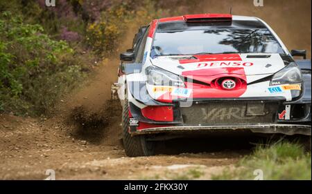 Dornelas, Portugal - 01 mai 2021 : Takamoto KATSUTA (JPN), Keaton WILLIAMS (GBR), TOYOTA GAZOO RACING WRT, TOYOTA Yaris WRC, gros plan Banque D'Images