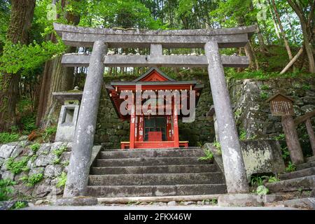 Porte de Torii en pierre japonaise au sanctuaire de Toshogu Shinto à Nikko, Japon. Entrée au site classé au patrimoine mondial de l'UNESCO. Banque D'Images