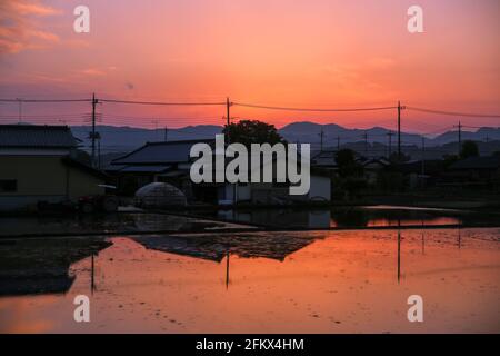 Vue sur le paysage de la ferme et des terres agricoles japonaises reflétée dans l'eau des rizières au lever ou au coucher du soleil. Banque D'Images