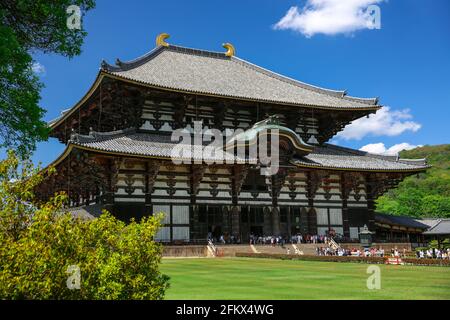 Daibutsu-den dans le temple de Todaiji, Nara est la plus grande structure en bois du monde, un site de l'UNESCO et l'un des temples bouddhistes les plus célèbres du Japon. Banque D'Images