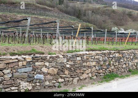 Mur de pierre sèche dans Der Wachau Basse-Autriche Banque D'Images