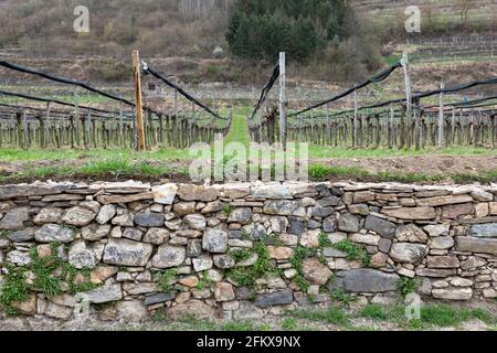 Mur de pierre sèche dans Der Wachau Basse-Autriche Banque D'Images