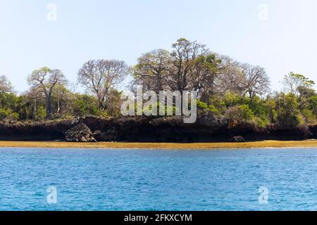 Wasini Island et Parc national marin de Kisite-Mpunguti, Kenta, Afrique Banque D'Images