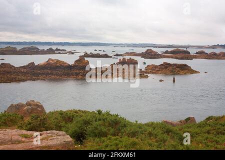 Une mer rocheuse : côte ouest de l'Île-de-Bréhat à la Croix de Maudez, face à un labyrinthe de récifs à marée basse, Côtes-d'Armor, Bretagne, France Banque D'Images