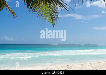 Vue panoramique sur une plage tropicale Banque D'Images