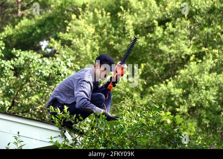 Un jeune homme s'agenouille sur le toit de la maison. Il est à la limite en essayant de couper l'aménagement paysager surcultivé. Il porte des vêtements de travail, une casquette et des gants. Banque D'Images