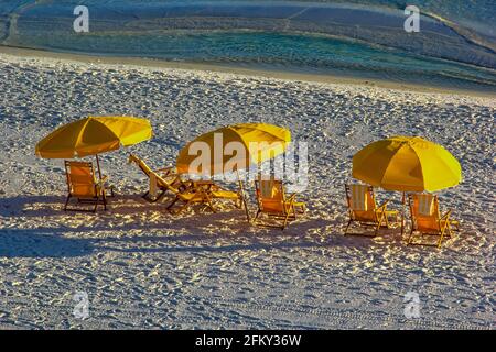 Rangée de chaises longues et parasols sur la plage de destin, Floride Banque D'Images