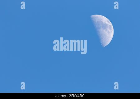 Un portrait d'une demi-lune pendant la journée dans un ciel bleu. Les cratères de la planète satelite sont bien visibles. Banque D'Images