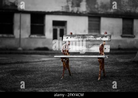 ancien banc en bois dans le jardin d'un hôtel abandonné Banque D'Images