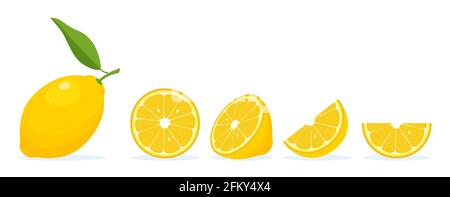 Tranches de citron frais Illustration de Vecteur