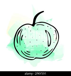 Imitation de peinture aquarelle. Illustration lumineuse et juteuse d'une pomme verte sur fond blanc. Illustration de Vecteur