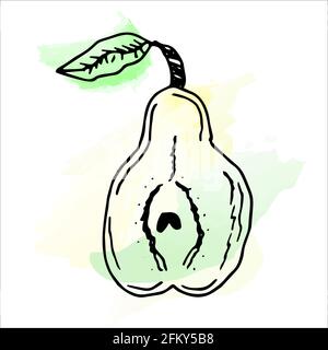 Imitation de peinture aquarelle. Illustration lumineuse et juteuse d'une poire sur fond blanc. Illustration de Vecteur
