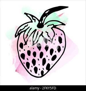 Imitation de peinture aquarelle. Illustration lumineuse et juteuse de fraises sur fond blanc. Illustration de Vecteur