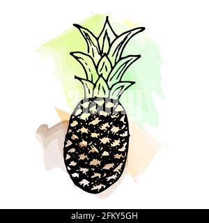 Imitation de peinture aquarelle. Illustration d'ananas lumineux et juteux, sur fond blanc. Illustration de Vecteur