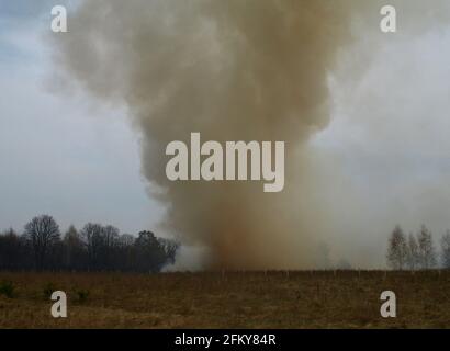 Incendie. Conflagration. Le feu qui détruit la forêt, l'herbe et les cultures agricoles brûle dans le ciel. Incendie criminel intentionnel. Manipulation imprudente du feu Banque D'Images