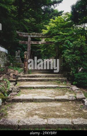 Pierre torri porte sur un chemin d'escalier dans le parc forestier sur le mont Misen à Miyajima, Hiroshima, Japon Banque D'Images