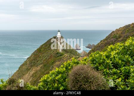 Célèbre paysage et phare à Nugget point, île du Sud de la Nouvelle-Zélande Banque D'Images