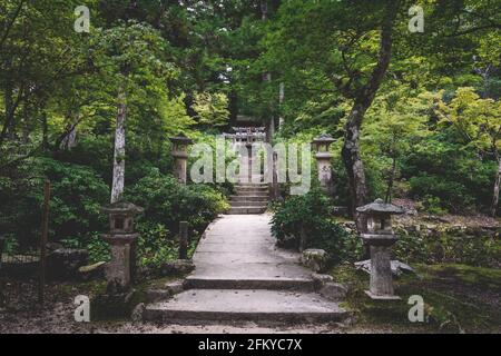 Chemin dans le parc forestier jusqu'à la petite porte de torii sur le mont Misen à Miyajima, Hiroshima, Japon Banque D'Images