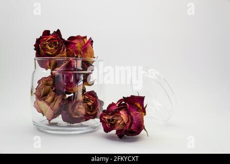 Roses séchées dans un pot en verre sur fond clair Banque D'Images