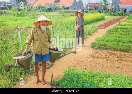 TRA que, Vietnam - Mars 5 2014: Les personnes âgées locales vietnamiennes traditionnelles couple d'agriculteurs tendent à leur jardin et de cultures de légumes dans la campagne rurale Banque D'Images