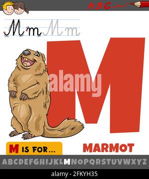 Dessin animé éducatif de la lettre M de l'alphabet avec marmotte caractère animal Illustration de Vecteur