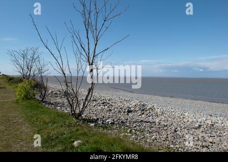 Lilstock Beach sur la section Somerset du chemin de la côte d'Angleterre Banque D'Images