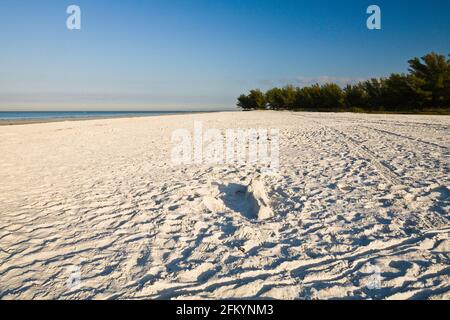 South Beach à fort de Soto, Saint-Pétersbourg, Floride. Plage vide à la mi-décembre. Banque D'Images