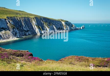 Sur le dessus de la baie d'Alum en regardant les aiguilles, l'île de wight. Banque D'Images