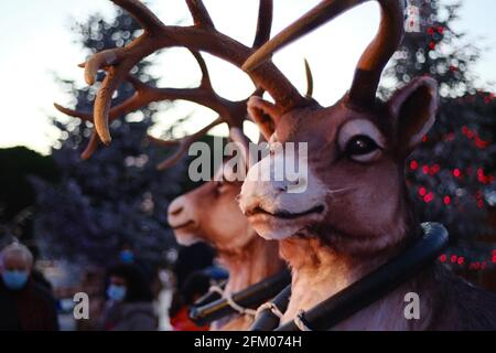 Décorations de Noël dans le centre-ville de la Grande Motte, près de Carnon Plage et Montpellier, Occitanie, sud de la France Banque D'Images