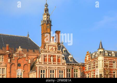 Hôtel de ville historique et cathédrale St.Bavokerk dans la vieille ville de Haarlem, quartier d'Amsterdam, Hollande-Nord, pays-Bas Banque D'Images