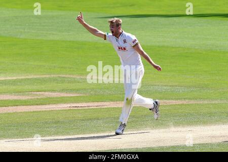 Paul Walter, d'Essex, célèbre la prise de la cricket de Shivnarine Chanderpaul lors de la CCC d'Essex contre la CCC du Lancashire, Specsavers County Championship Divisi Banque D'Images