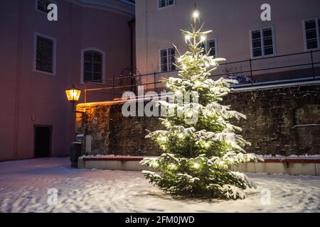 Arbre de Noël dehors dans la neige illuminé lors d'une nuit froide d'hiver à l'église de la basilique Sonntagberg, Mostviertel, Basse-Autriche, un concept de X-Mas Banque D'Images