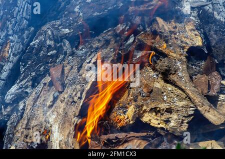 Les déchets de bois dans le feu, une combustion illégale dans le jardin. Concept de feu de forêt Banque D'Images