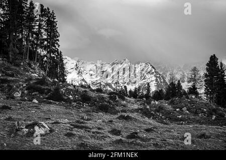 Photo en niveaux de gris des Alpes tyroliennes en Autriche Banque D'Images