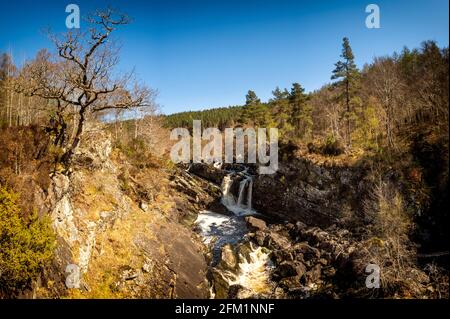 Rogie Falls près de Garve dans le Rosshire. Le niveau de l'eau est un peu en baisse par rapport à ce que nous avons visité à la mi-mars, mais c'est encore un lieu assez spectaculaire Banque D'Images