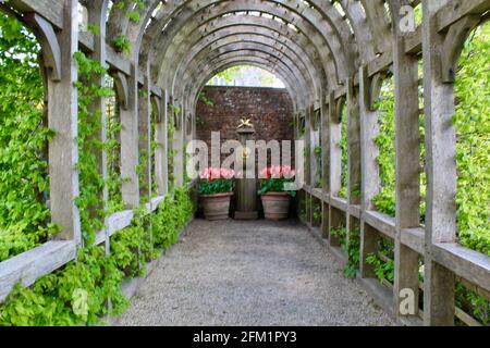 Festival de tulipes du château d'Arundel - 2021 - Pergola menant l'oeil aux conteneurs de tulipes. Banque D'Images